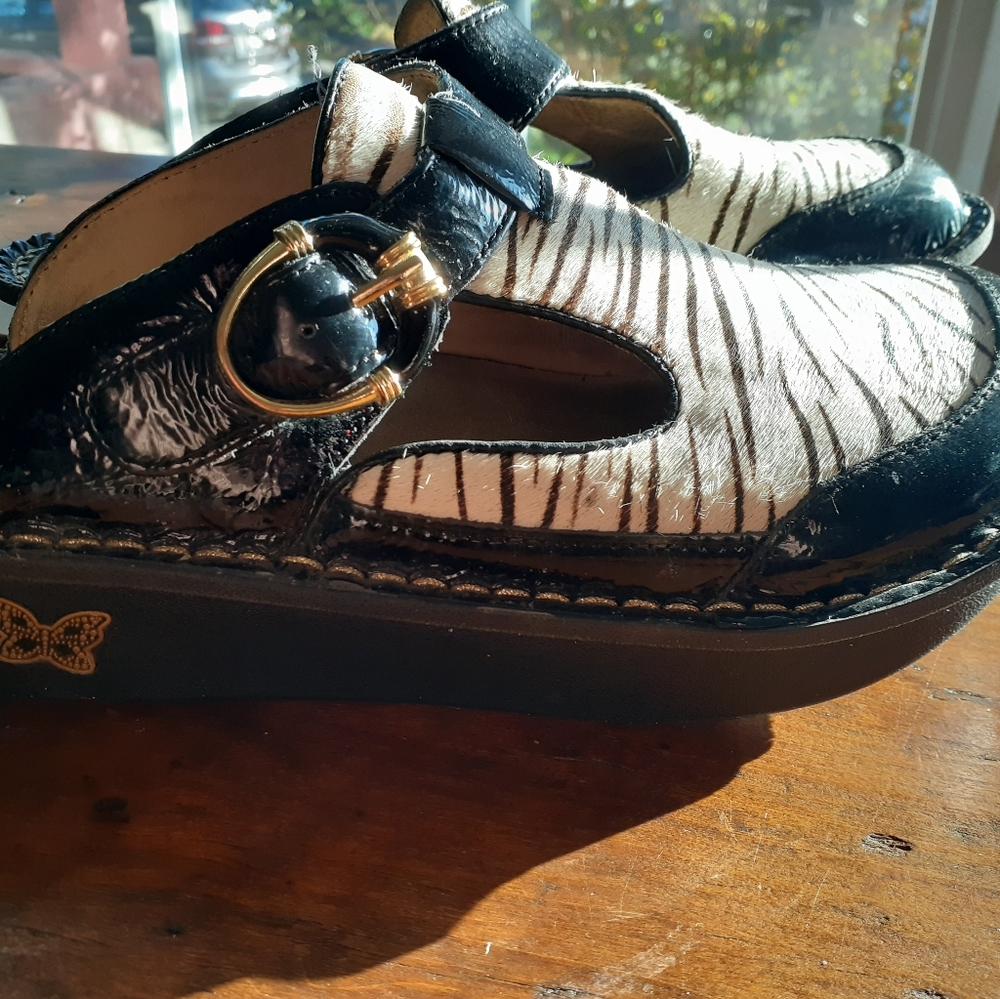 Alegria 37 women's zebra shoe